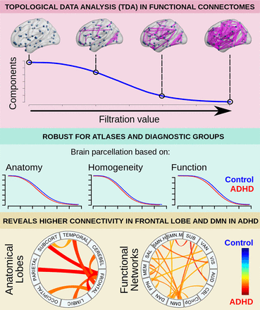 Topological Data Analysis Reveals Robust Alterations in the Whole-Brain and Frontal Lobe Functional Connectomes in Attention-Deficit/Hyperactivity Disorder