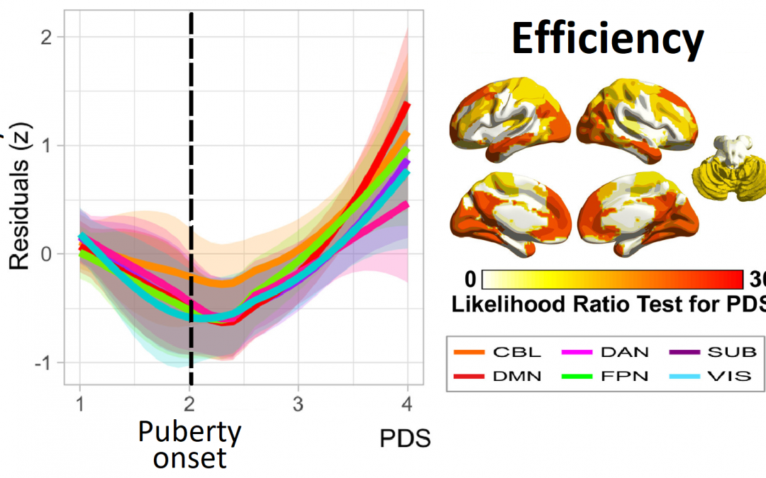 Development of the Brain Functional Connectome Follows Puberty-Dependent Nonlinear Trajectories